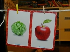 edukativne kartice