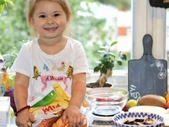 kolač sa šljivom fitmama