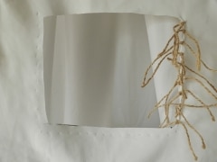 DSCN9139