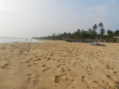 DSCN9733