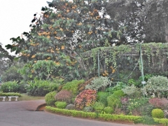 botanicka-basta-kendi (1)