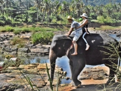 jahanje-slonova-sri-lanka (2)