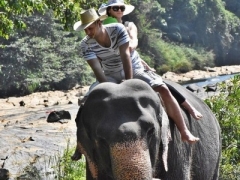 jahanje-slonova-sri-lanka (4)