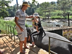 jahanje-slonova-sri-lanka (5)