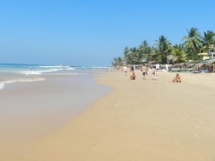 plaza (4)