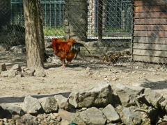 DSCN9077