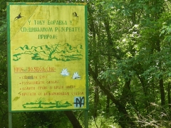 DSCN9127
