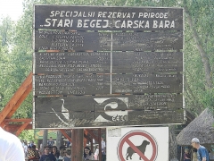 DSCN9130