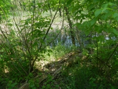 DSCN9131