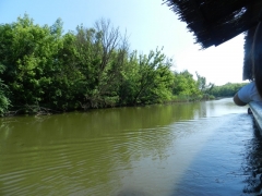 DSCN9140