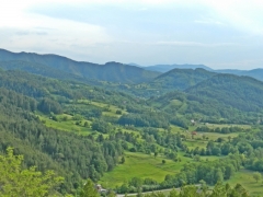 DSCN9498